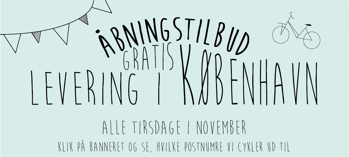 Copenhagencakeshop Banner gratis fragt tirsdag